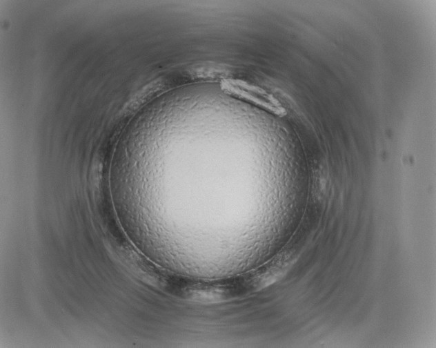 X0000081630263200701291329
