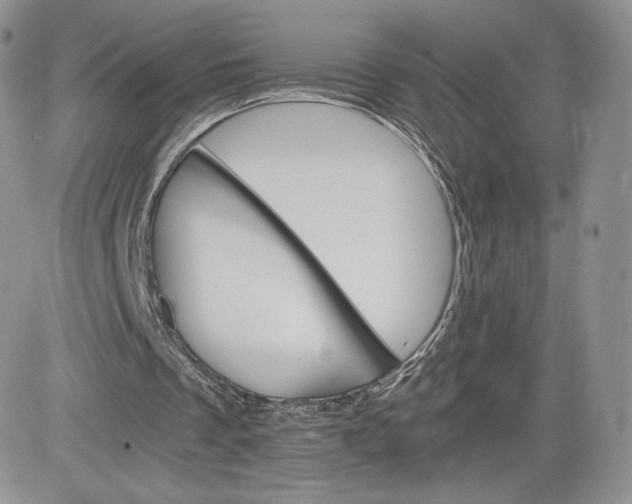 X0000081630289200701291328