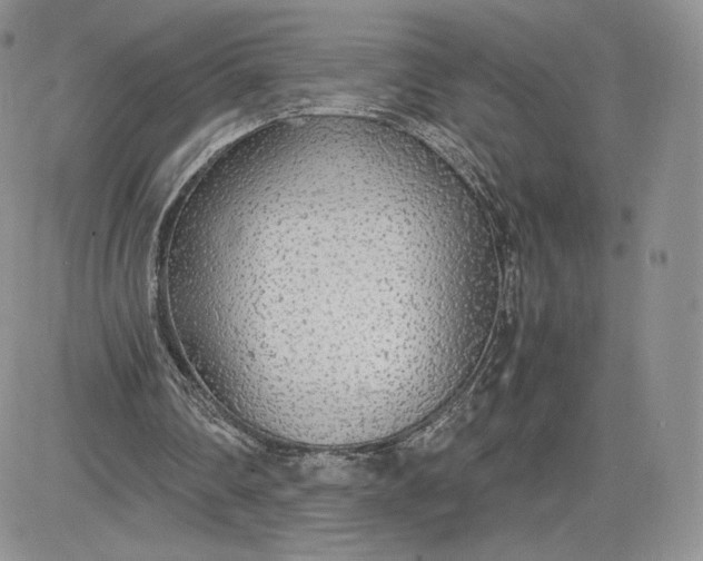 X0000081630290200701291328
