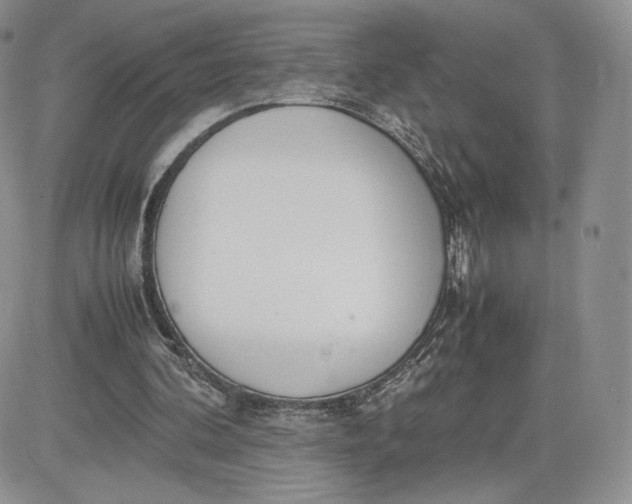 X0000081630292200701291328