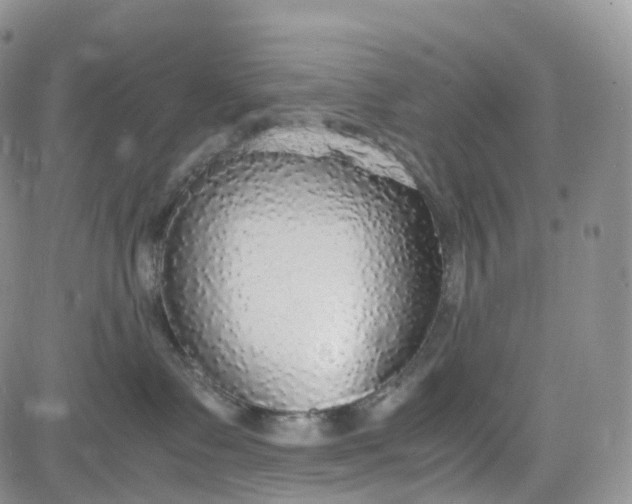 X0000081630335200701291328