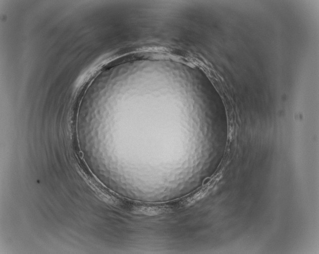 X0000081630341200701291327