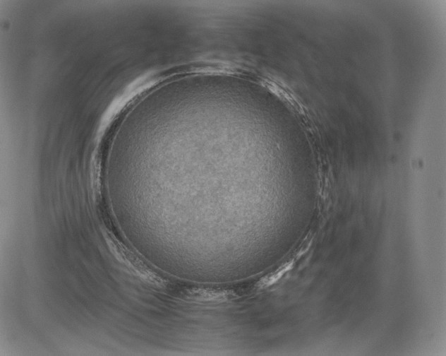 X0000081630343200701291327
