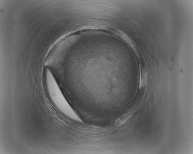 X0000081630387200701291327