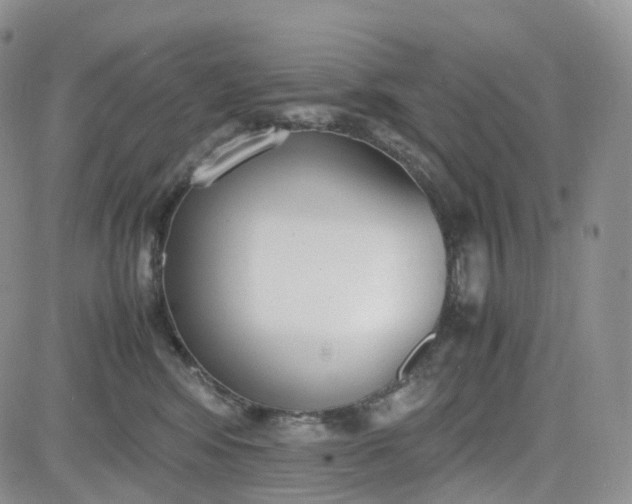 X0000081630424200701291326