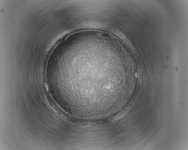 X0000081630434200701291325