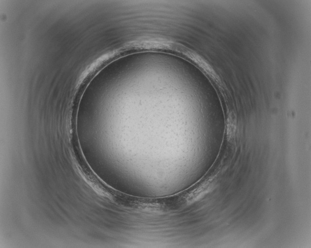 X0000081630438200701291325