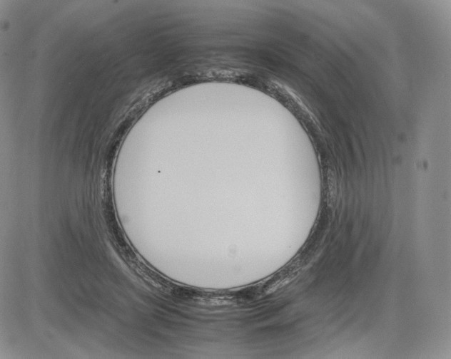 X0000081630451200701291326