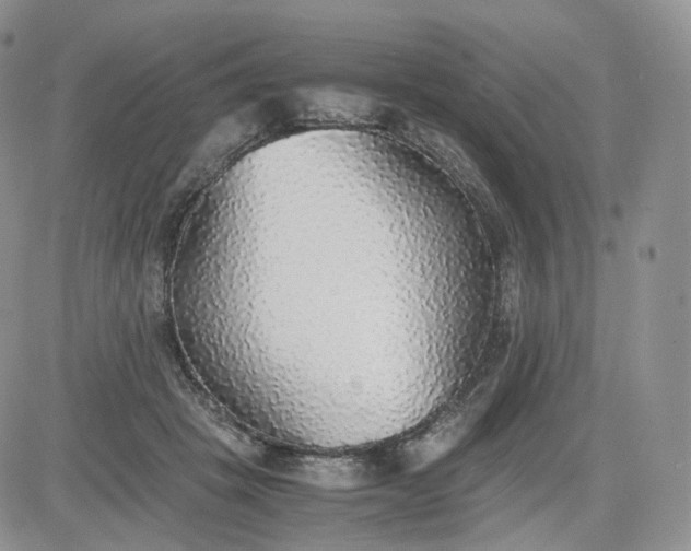 X0000081630457200701291326