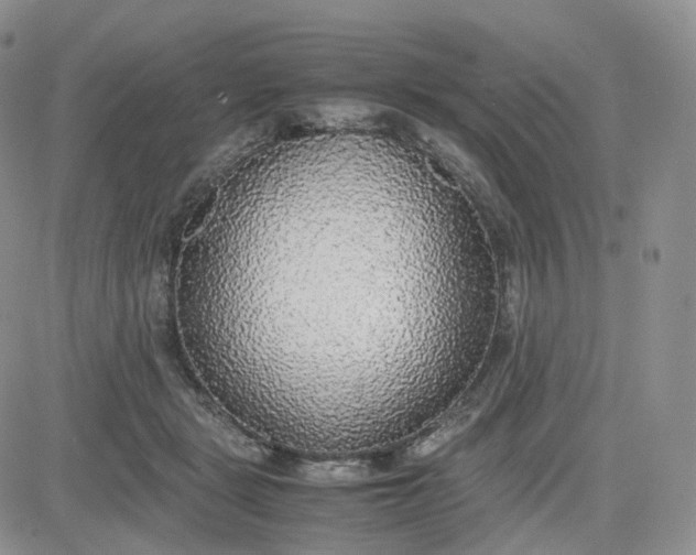 X0000081630461200701291326