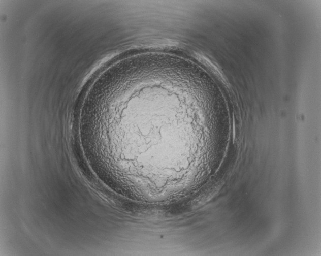 X0000081630483200701291325