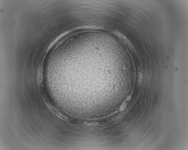 X0000081630484200701291325