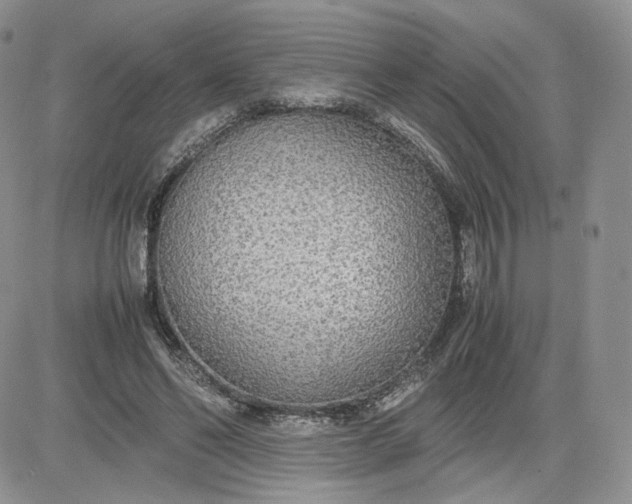 X0000081630494200701291325
