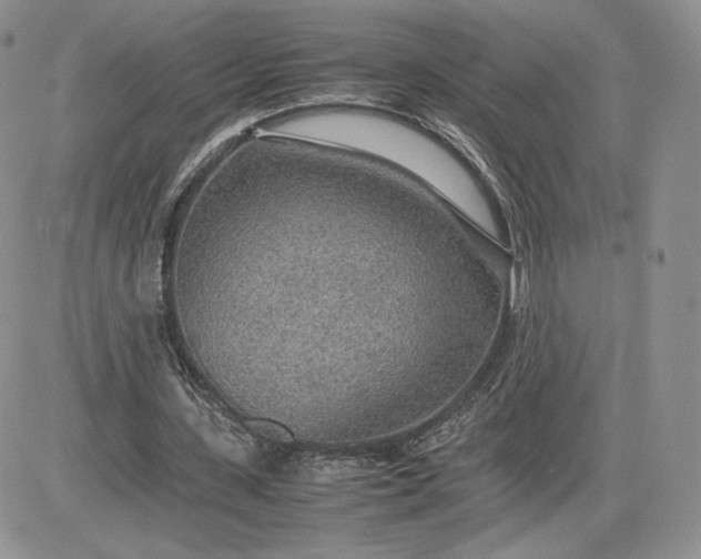 X0000081630531200701291324