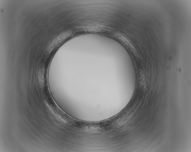 X0000081630586200701291323