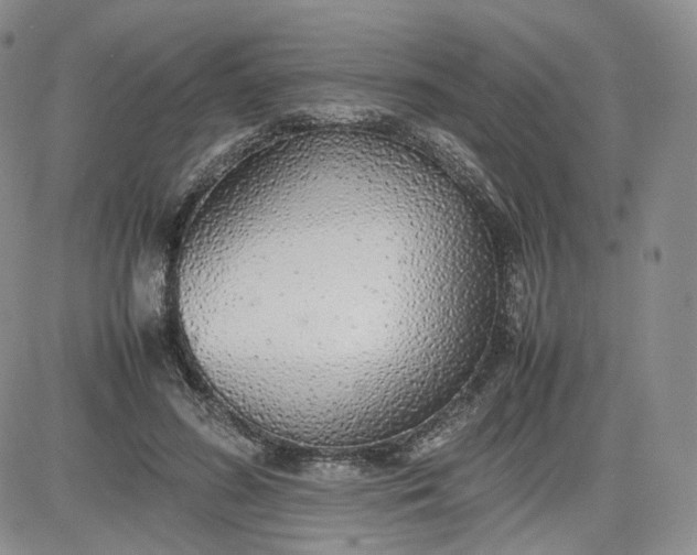 X0000081630596200701291323
