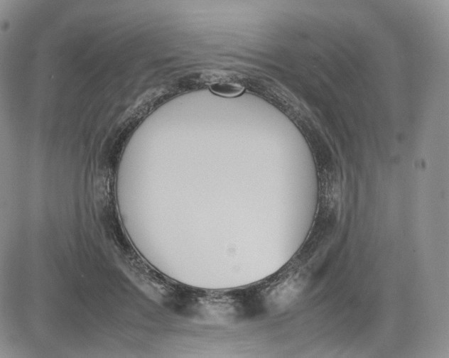 X0000081630603200701291323
