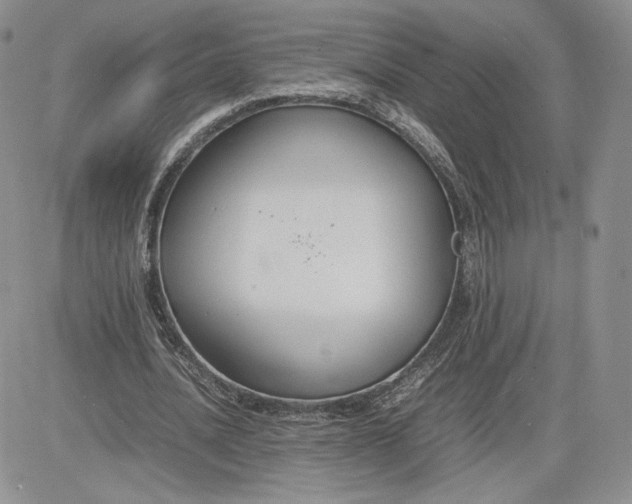 X0000081630628200701291322