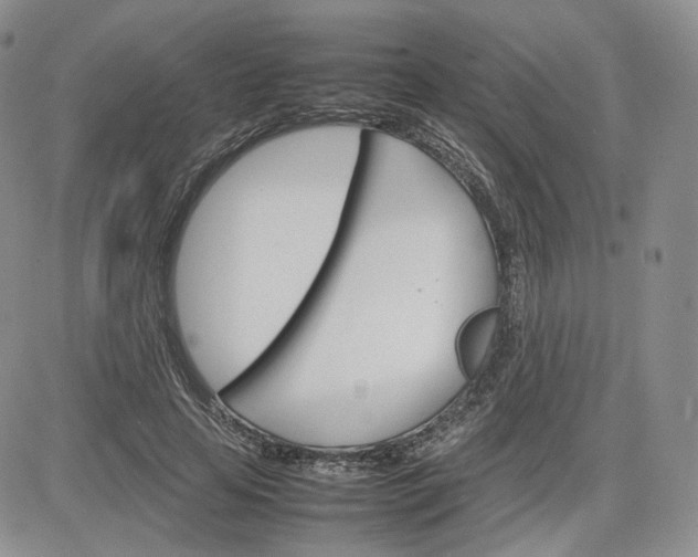 X0000081630641200701291322