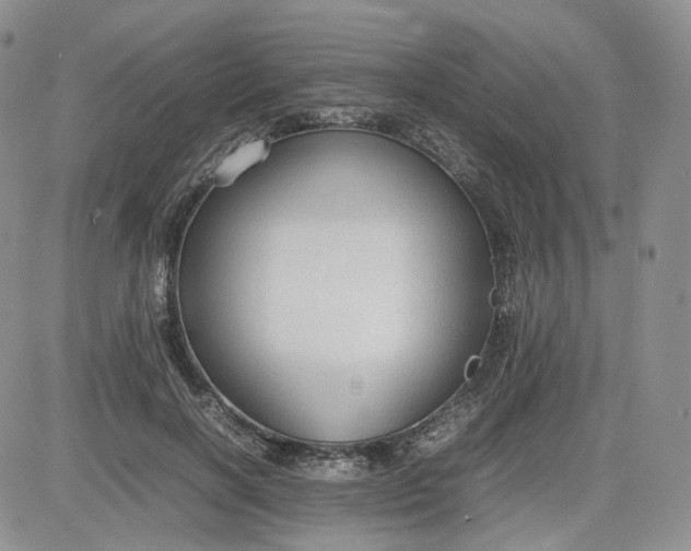 X0000081630646200701291322