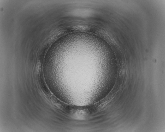 X0000081630647200701291322