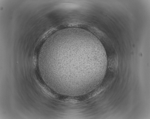 X0000081630648200701291322
