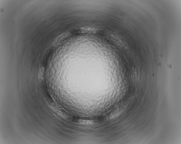 X0000081630649200701291322