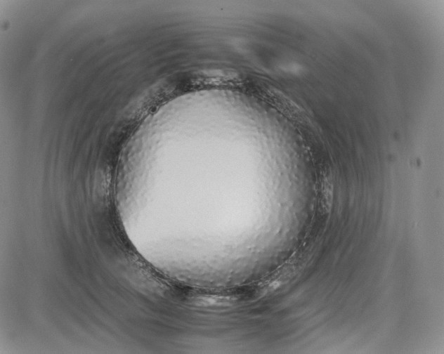 X0000081630657200701291323