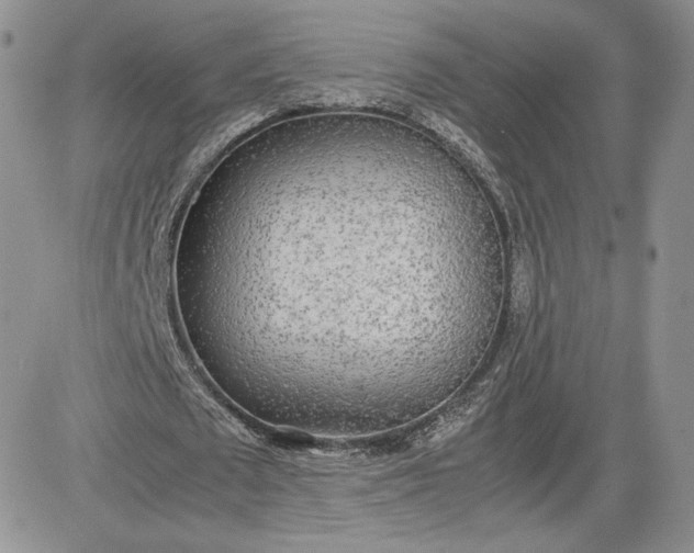 X0000081630673200701291322