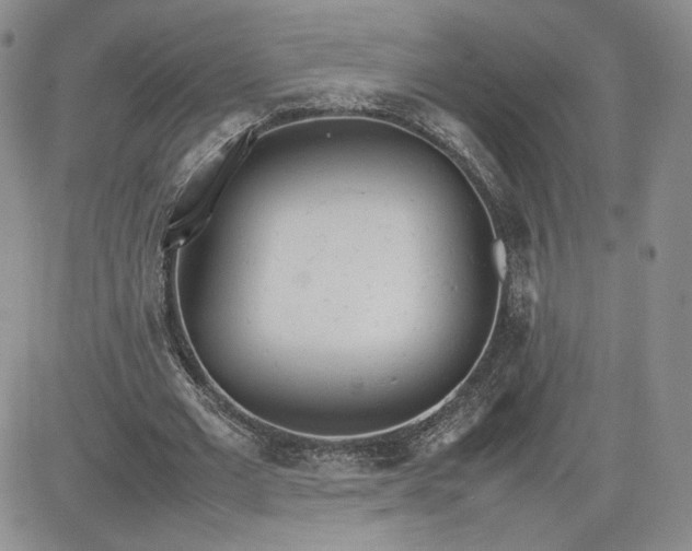 X0000081630677200701291322