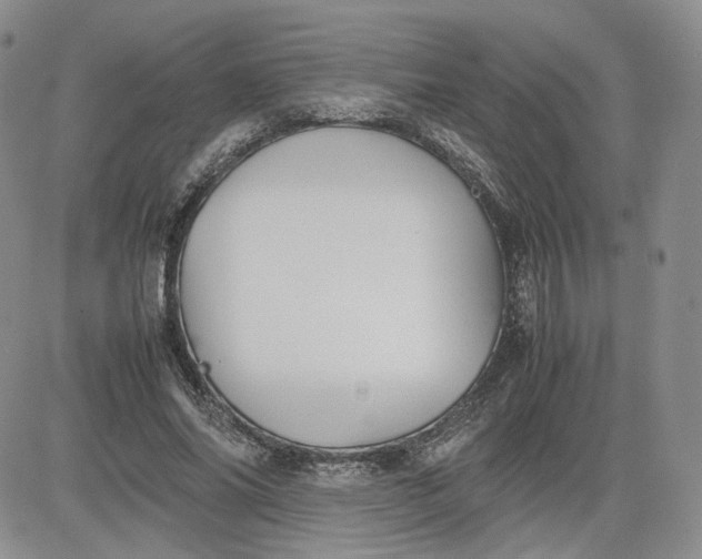 X0000081630686200701291322