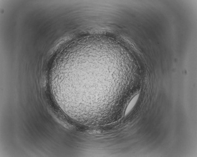 X0000081630687200701291322