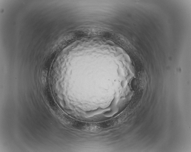 X0000081630695200701291322