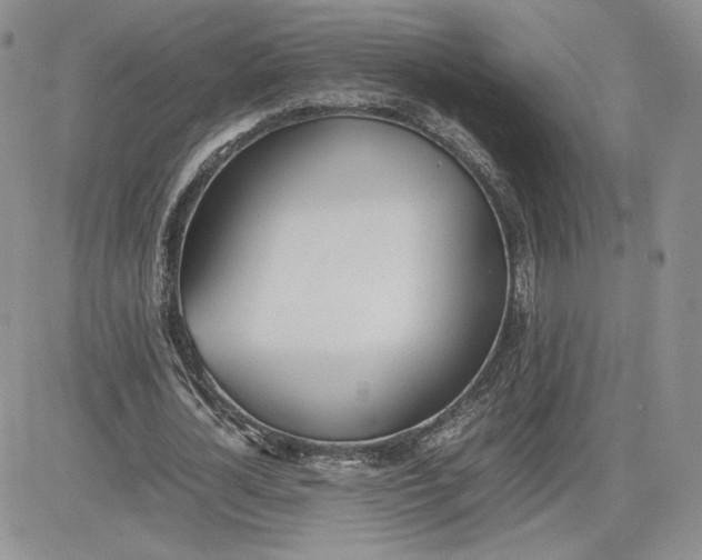 X0000081630724200701291321