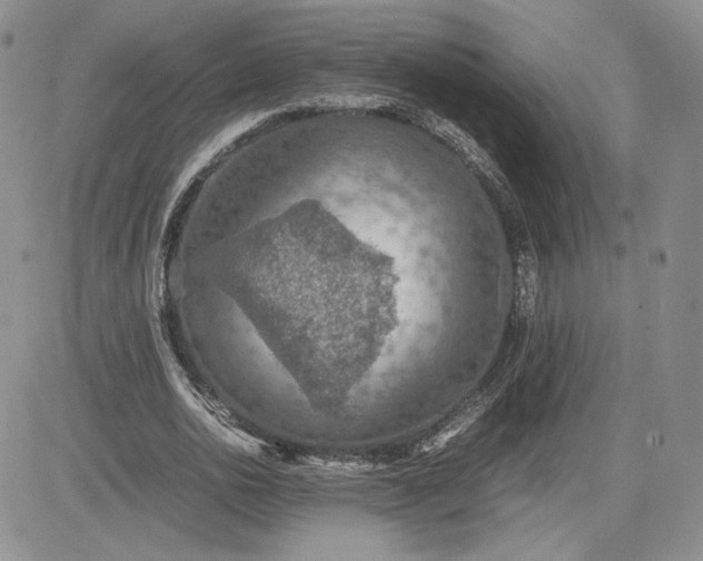 X0000081630726200701291321