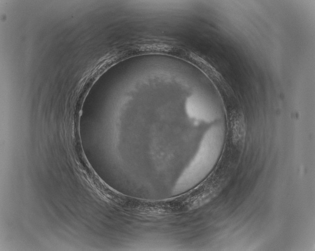 X0000081630729200701291321