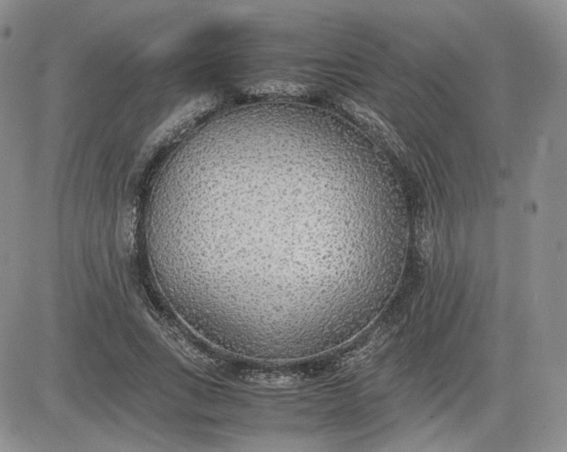 X0000081630735200701291321