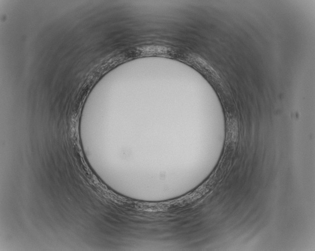X0000081630737200701291321