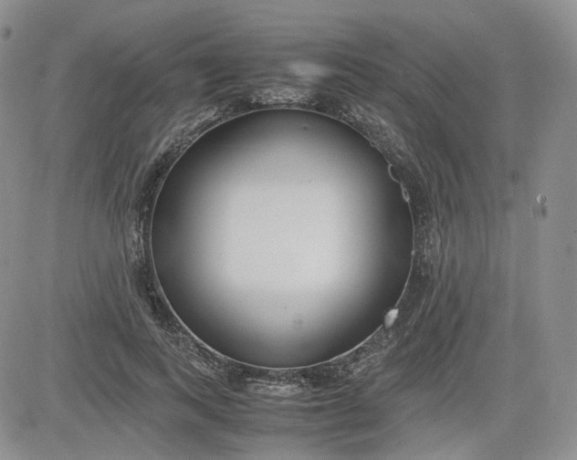 X0000081630743200701291321