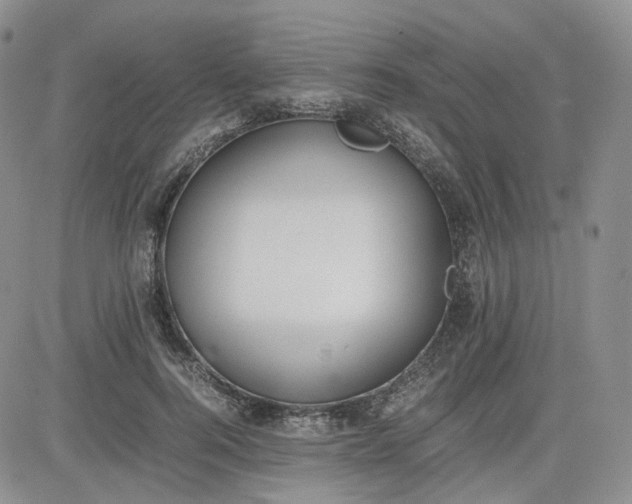 X0000081630744200701291321