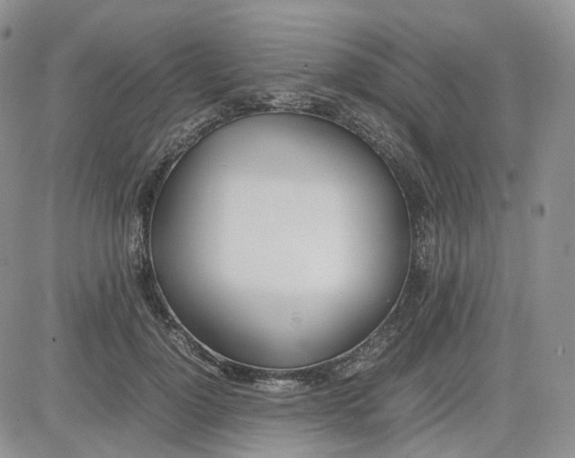 X0000081630748200701291321