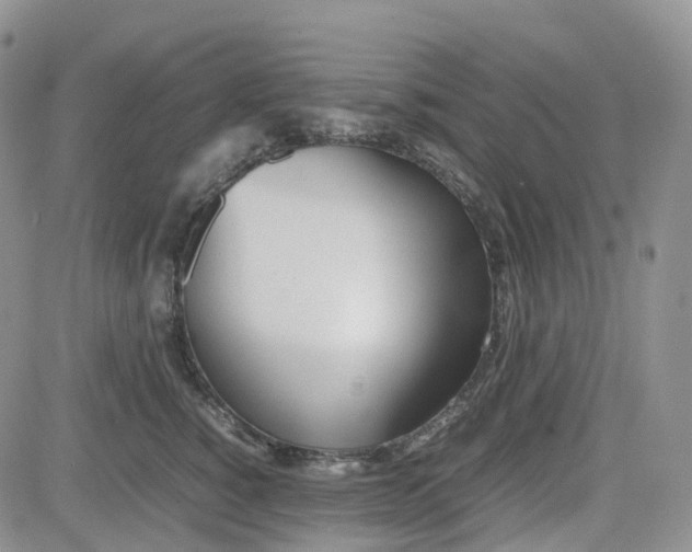 X0000081630760200701291321