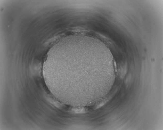 X0000081630767200701291321