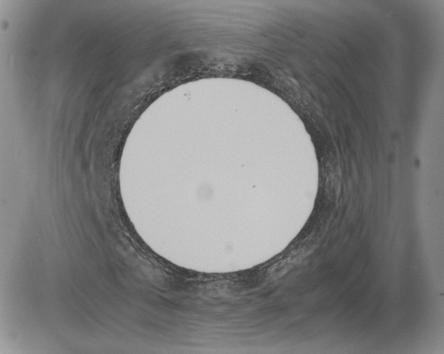 X0000081630769200701291320