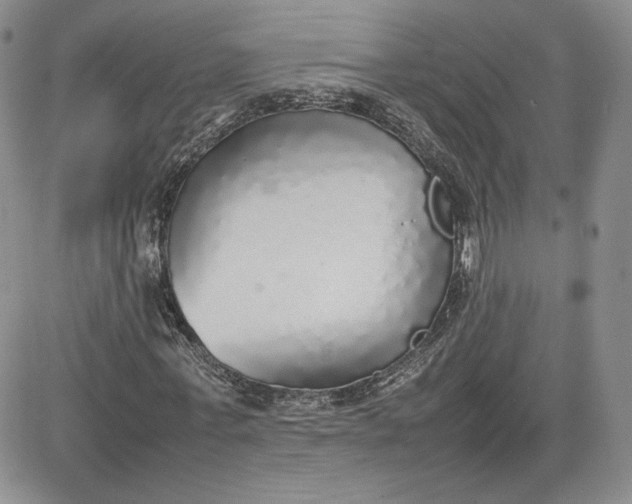 X0000081630771200701291320