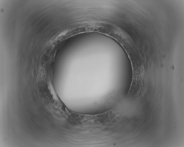 X0000081630773200701291320
