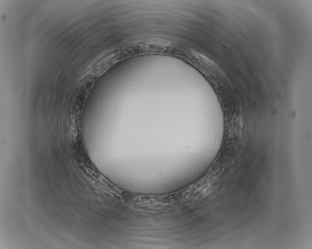 X0000081630774200701291320
