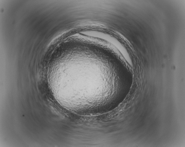 X0000081630775200701291320