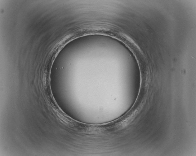 X0000081630777200701291320