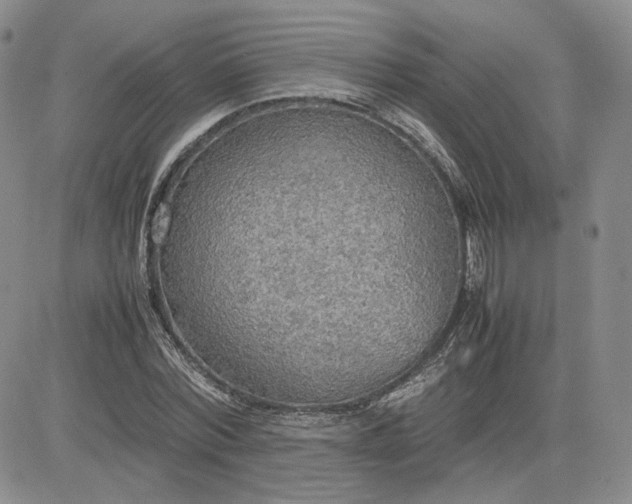 X0000081630780200701291320